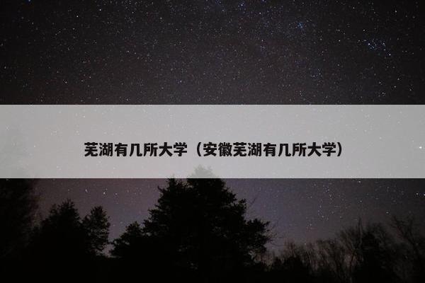 芜湖有几所大学（安徽芜湖有几所大学）