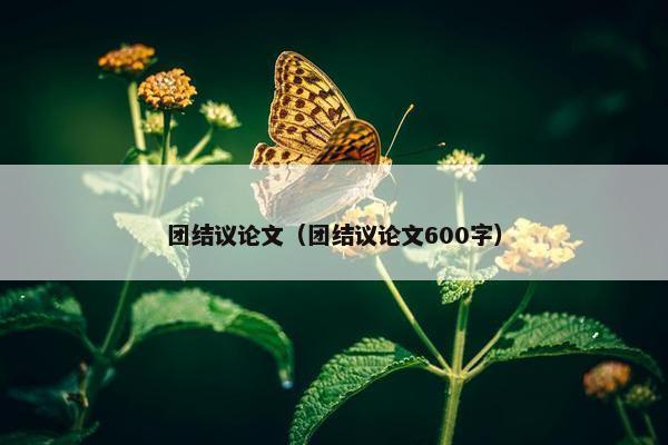 团结议论文（团结议论文600字）