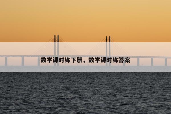 数学课时练下册，数学课时练答案