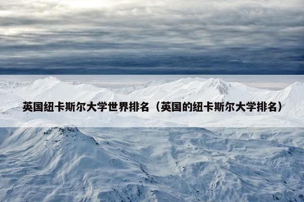 英国纽卡斯尔大学世界排名（英国的纽卡斯尔大学排名）