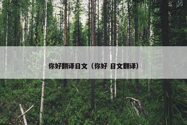 你好翻译日文（你好 日文翻译）
