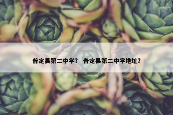 普定县第二中学？ 普定县第二中学地址？