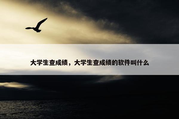 大学生查成绩，大学生查成绩的软件叫什么