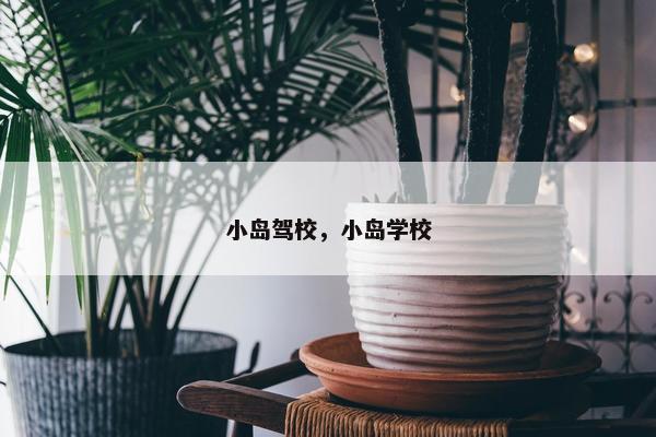 小岛驾校，小岛学校