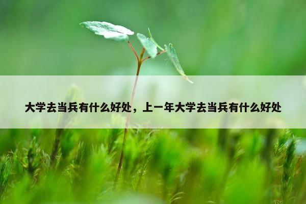 大学去当兵有什么好处，上一年大学去当兵有什么好处