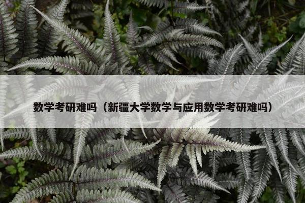 数学考研难吗（新疆大学数学与应用数学考研难吗）