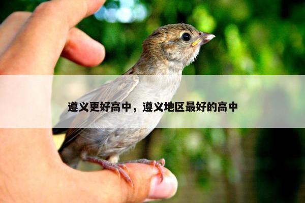 遵义更好高中，遵义地区最好的高中