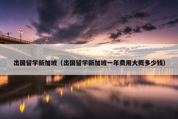 出国留学新加坡（出国留学新加坡一年费用大概多少钱）