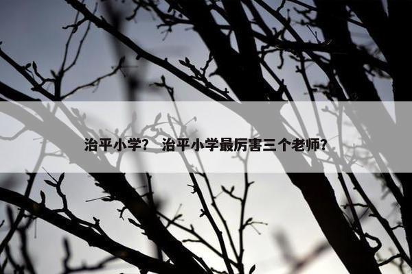 治平小学？ 治平小学最厉害三个老师？