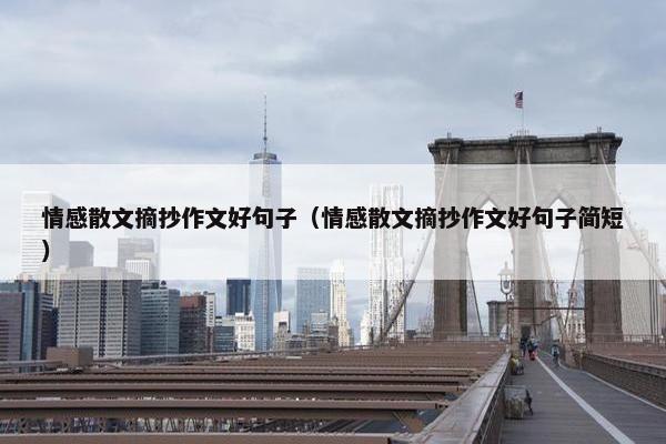 情感散文摘抄作文好句子（情感散文摘抄作文好句子简短）