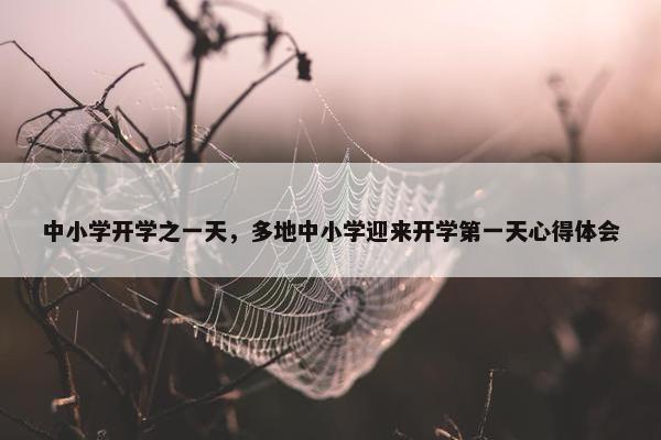 中小学开学之一天，多地中小学迎来开学第一天心得体会