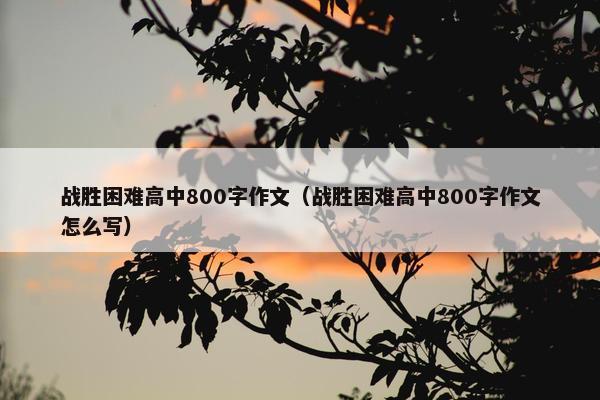 战胜困难高中800字作文（战胜困难高中800字作文怎么写）