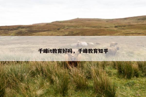 千峰it教育好吗，千峰教育知乎