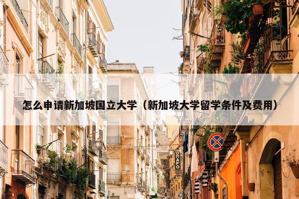 怎么申请新加坡国立大学（新加坡大学留学条件及费用）