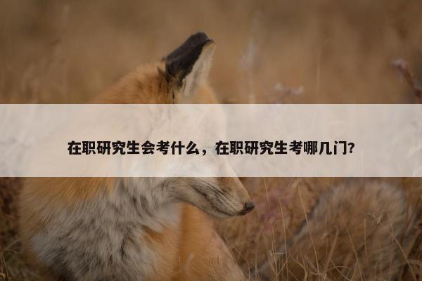 在职研究生会考什么，在职研究生考哪几门?