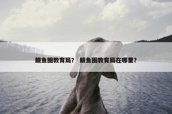 鲅鱼圈教育局？ 鲅鱼圈教育局在哪里？