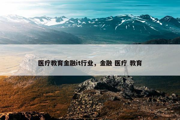 医疗教育金融it行业，金融 医疗 教育
