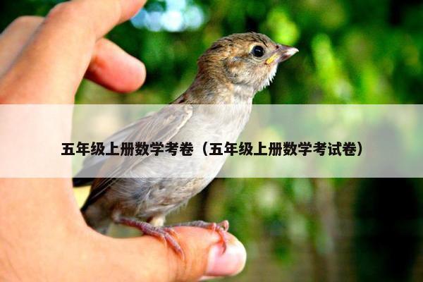 五年级上册数学考卷（五年级上册数学考试卷）