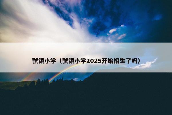 虢镇小学（虢镇小学2025开始招生了吗）