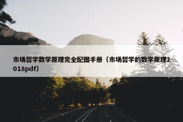 市场哲学数学原理完全配图手册（市场哲学的数学原理2018pdf）