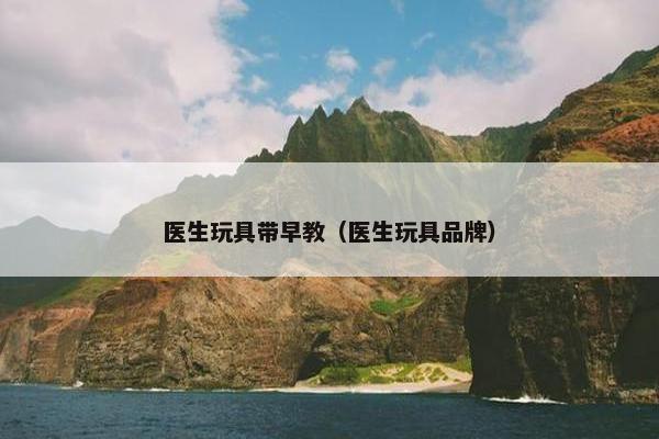 医生玩具带早教（医生玩具品牌）