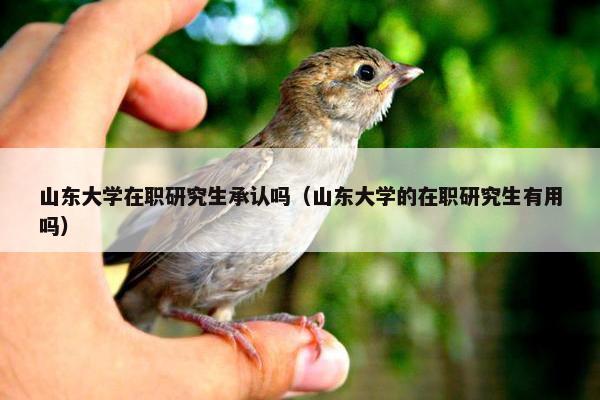 山东大学在职研究生承认吗（山东大学的在职研究生有用吗）