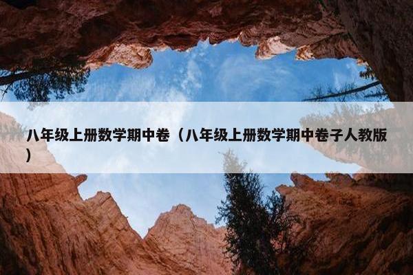 八年级上册数学期中卷（八年级上册数学期中卷子人教版）