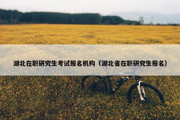 湖北在职研究生考试报名机构（湖北省在职研究生报名）