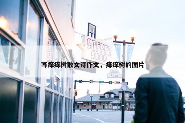 写痒痒树散文诗作文，痒痒树的图片