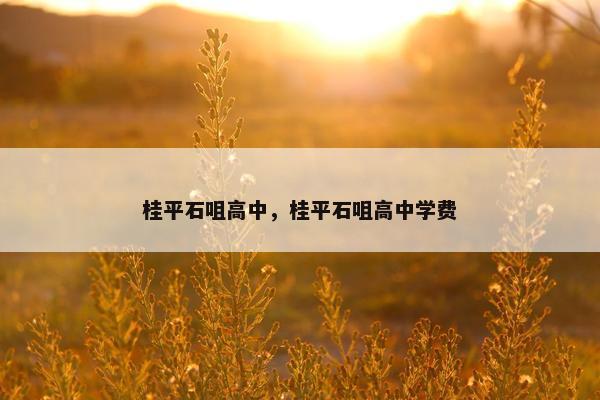 桂平石咀高中，桂平石咀高中学费