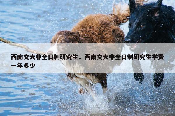 西南交大非全日制研究生，西南交大非全日制研究生学费一年多少