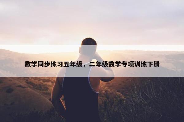 数学同步练习五年级，二年级数学专项训练下册