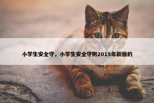 小学生安全守，小学生安全守则2019年新版的