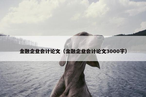 金融企业会计论文（金融企业会计论文3000字）