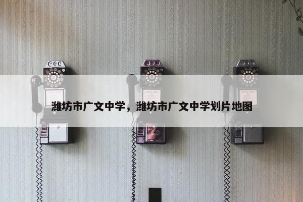 潍坊市广文中学，潍坊市广文中学划片地图