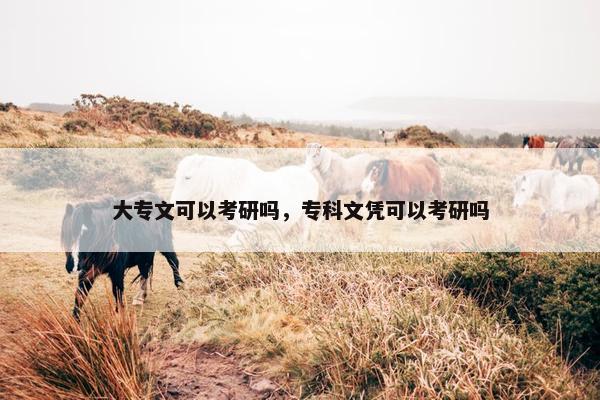 大专文可以考研吗，专科文凭可以考研吗