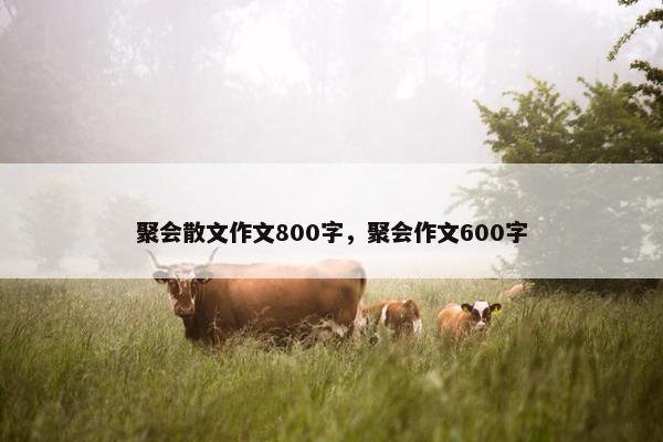 聚会散文作文800字，聚会作文600字