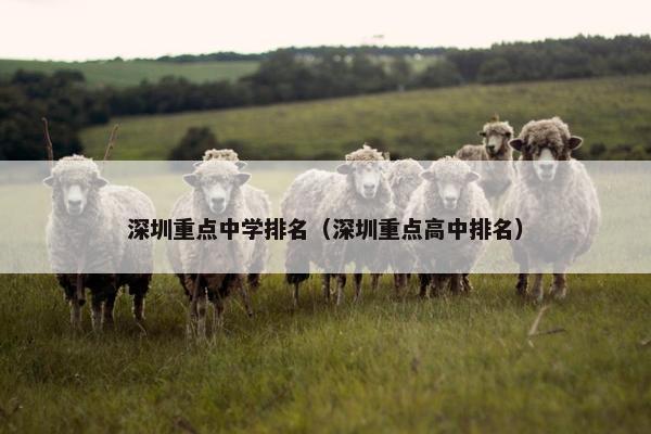 深圳重点中学排名（深圳重点高中排名）