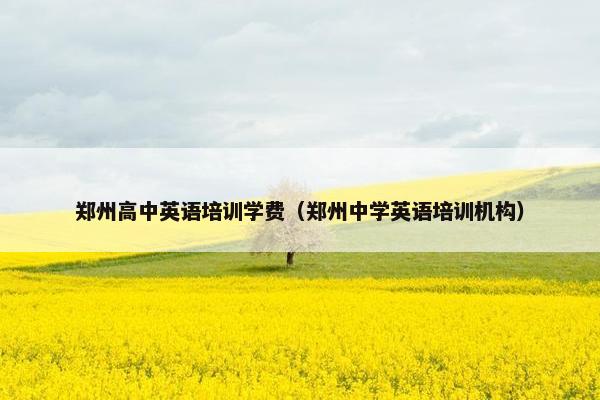 郑州高中英语培训学费（郑州中学英语培训机构）