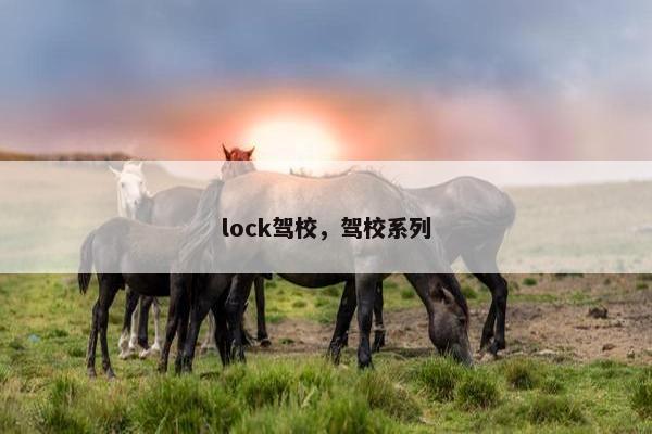 lock驾校，驾校系列