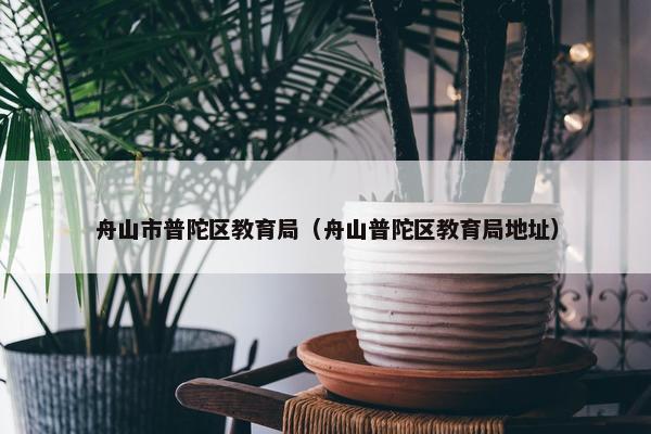 舟山市普陀区教育局（舟山普陀区教育局地址）