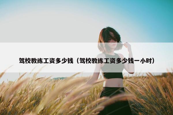 驾校教练工资多少钱（驾校教练工资多少钱一小时）