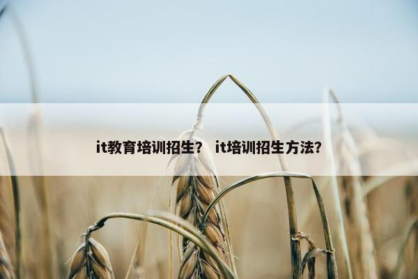 it教育培训招生？ it培训招生方法？
