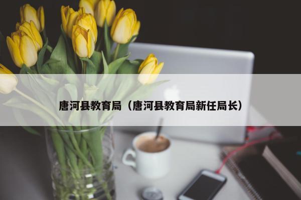 唐河县教育局（唐河县教育局新任局长）