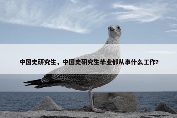中国史研究生，中国史研究生毕业都从事什么工作?