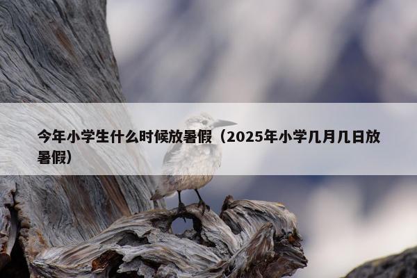 今年小学生什么时候放暑假（2025年小学几月几日放暑假）