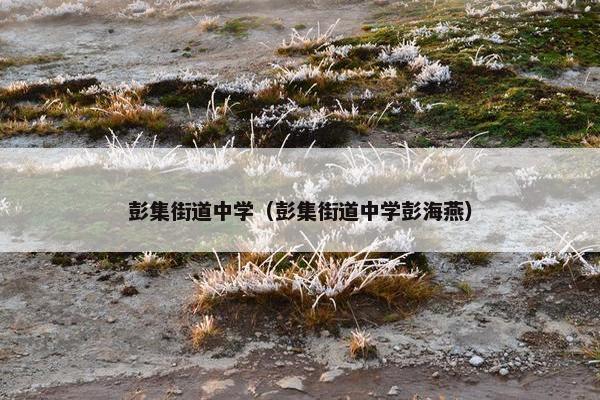 彭集街道中学（彭集街道中学彭海燕）