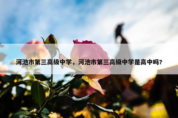 河池市第三高级中学，河池市第三高级中学是高中吗?