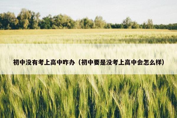 初中没有考上高中咋办（初中要是没考上高中会怎么样）