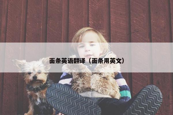面条英语翻译（面条用英文）